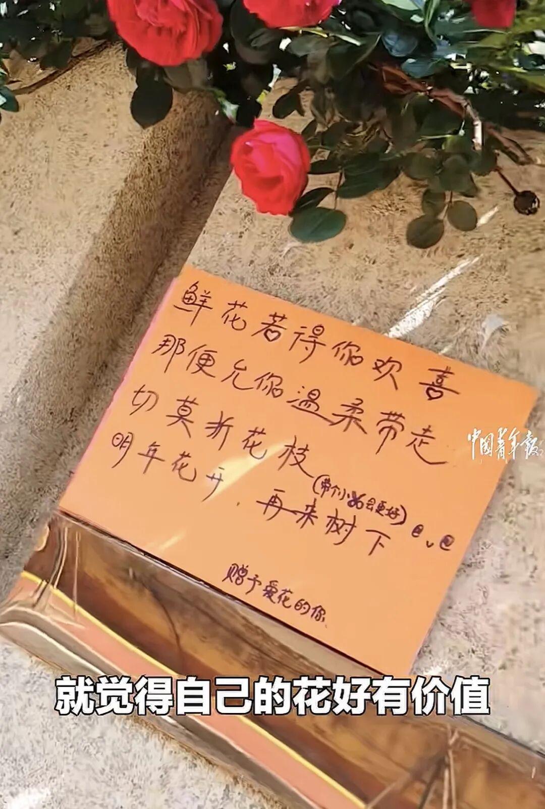 天天盈球网-看到郑钦文落泪，我忍不住站出来说几句话